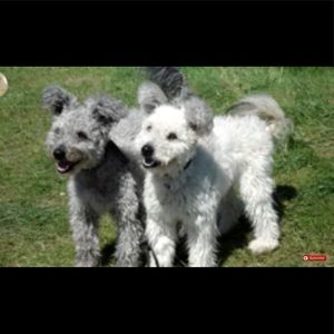 Meet your Posher, Deborah